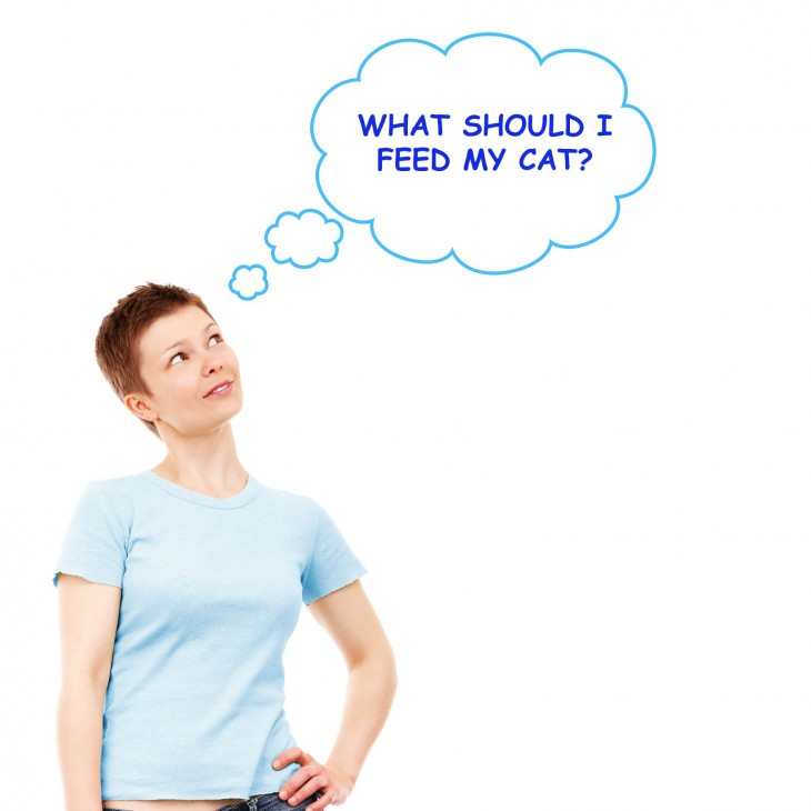 What Should I feed my cat Allivet