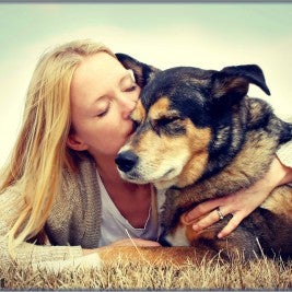 Pet Euthanasia – Things to Consider When Making this Difficult Decision