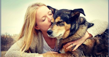 Pet Euthanasia – Things to Consider When Making this Difficult Decision