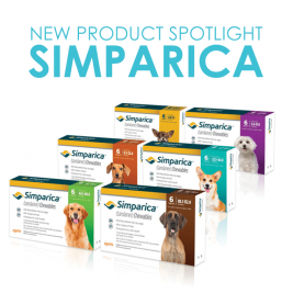 Simparica flea and tick protection for dogs