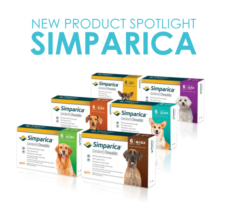 Simparica flea and tick protection for dogs
