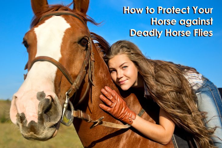 girl on horse How to Protect Your Horse against Deadly Horse Flies