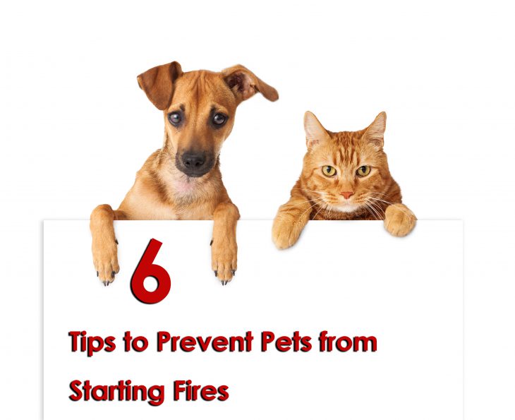 6 Tips to Prevent Pets from Starting Fires
