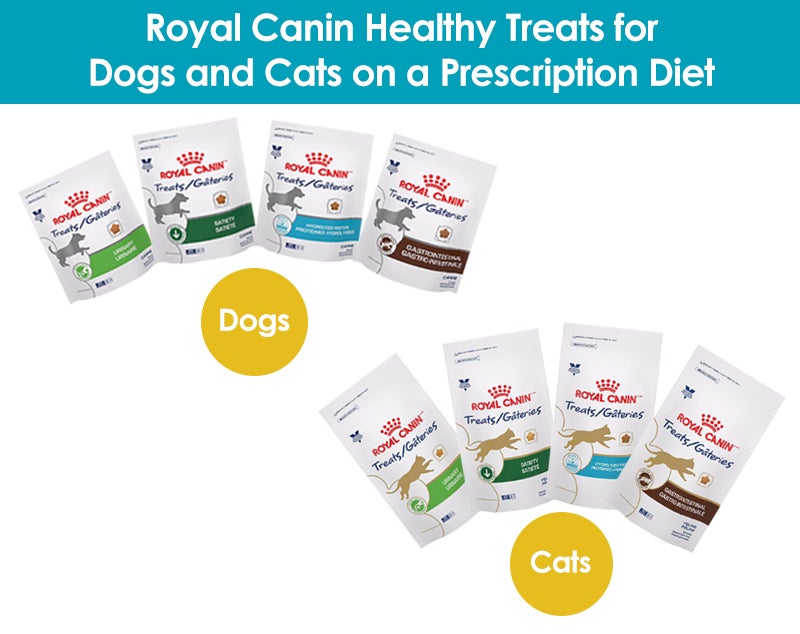 royal canin low fat treats