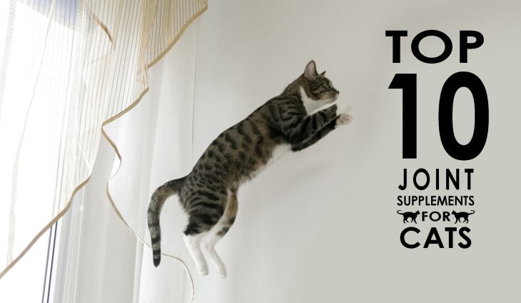 best glucosamine for cats