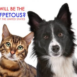 who will be the next first pet of the United States