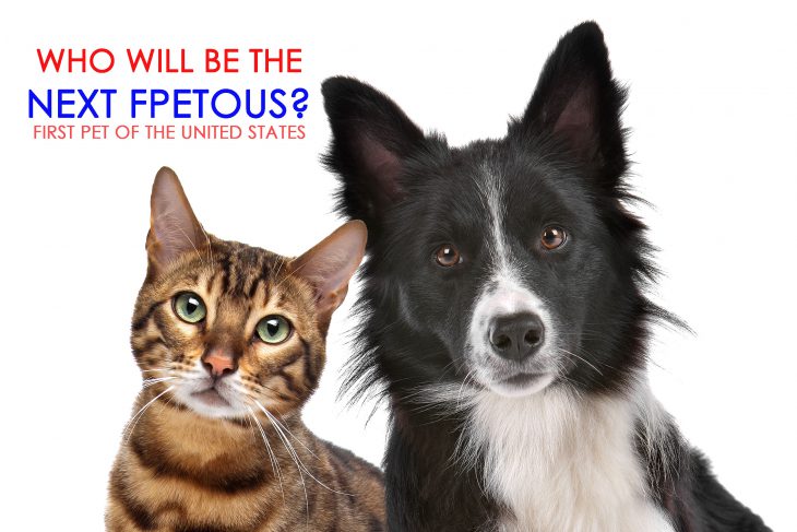 who will be the next first pet of the United States
