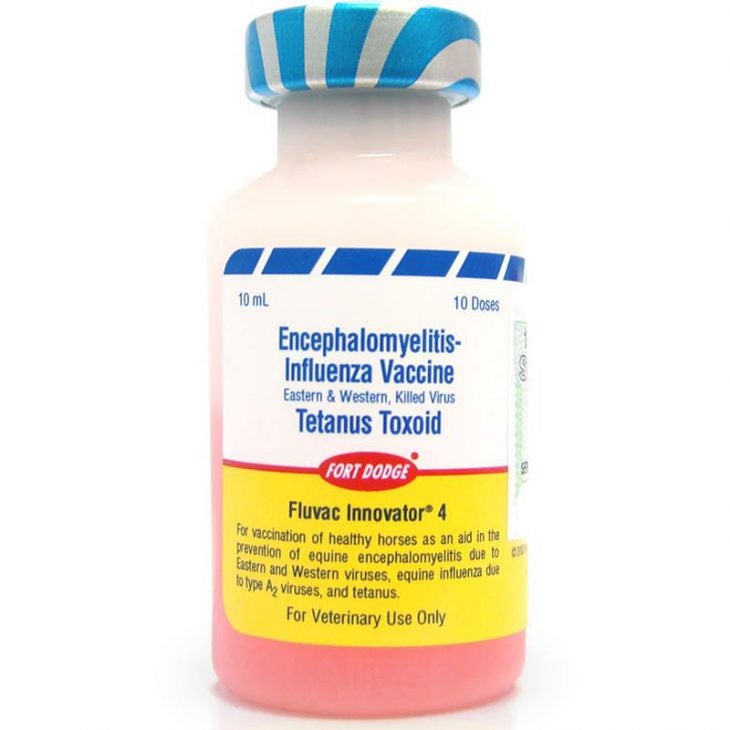 five-essential-vaccines-your-horse-must-have-allivet-pet-care-blog