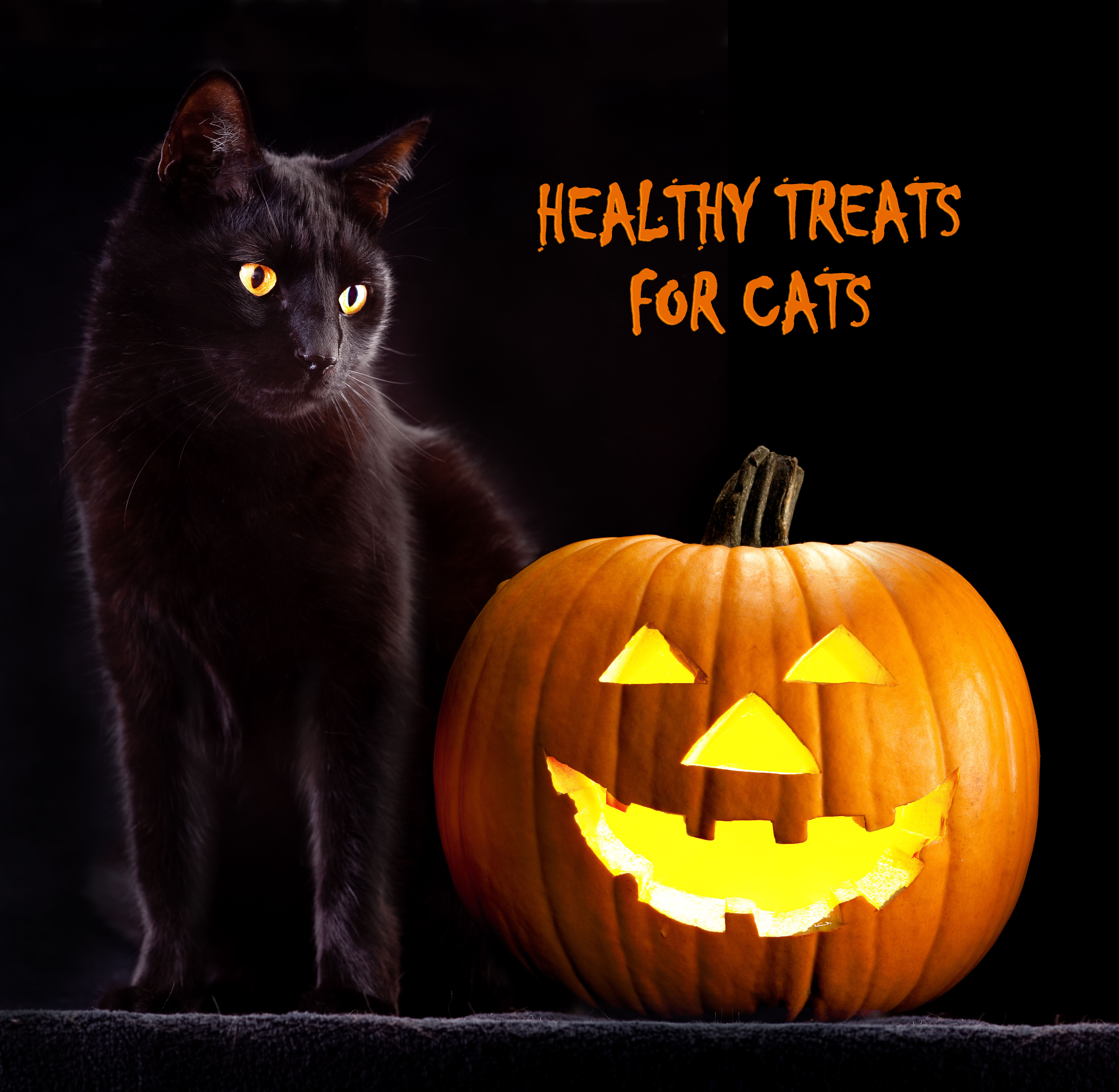 healthy treats for cats