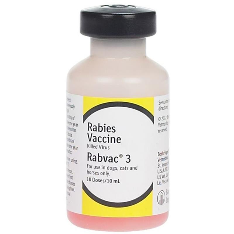 five-essential-vaccines-your-horse-must-have-allivet-pet-care-blog