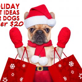 holiday gift ideas for dogs under $20