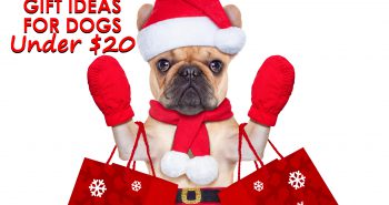 holiday gift ideas for dogs under $20