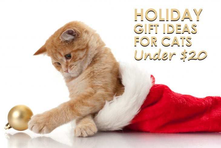 Holiday Gift Ideas for Cats Under $20