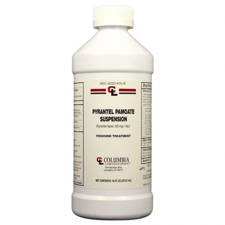 Worms in Horses — What You Must Know Allivet Pet Care Blog