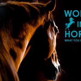 worms-horses-what-you-must-know