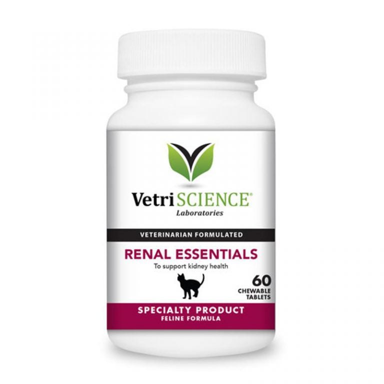 Top 5 Kidney Supplements for Cats Allivet Pet Care Blog