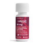 Galliprant-Grapiprant-osteoarthritis-dogs