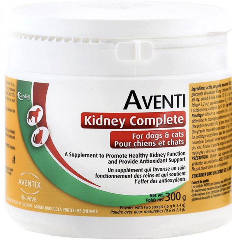 Top 5 Kidney Supplements for Cats Allivet Pet Care Blog