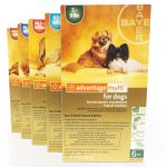 advantage multi-dewormer-dogs