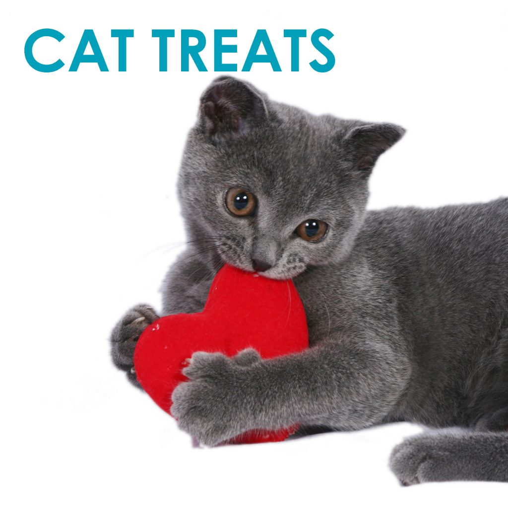 cat-treat-valentine-hearts