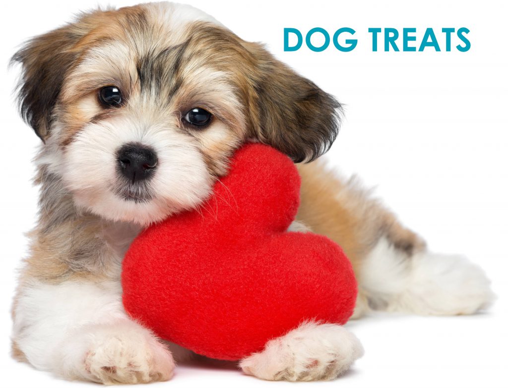 dog-treat-valentine-heart