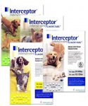 interceptor-dewormer-dogs