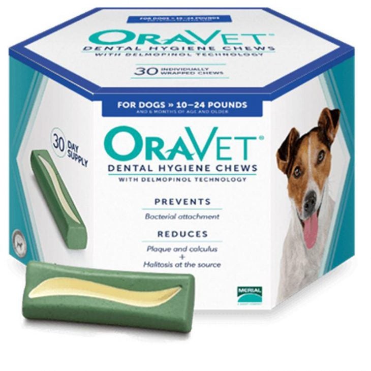 How to Care for Your Dog's Teeth Allivet Pet Care Blog
