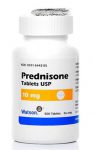 prednisone-dog-skin-allergies