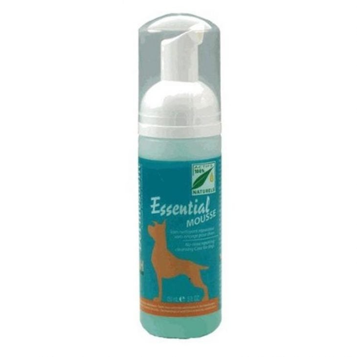 Top 10 Pet Grooming Essentials Allivet Pet Care Blog