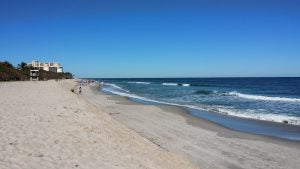 Jupiter Beach Florida Dog Friendly Beaches