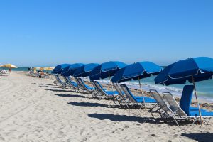 Miami Beach Florida-Dog Friendly Beaches