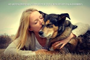 allivet formulated epilepsy