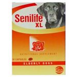 senilif xl supplements dog