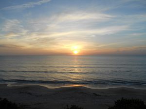 sunrise-dog-friendly-beaches-florida
