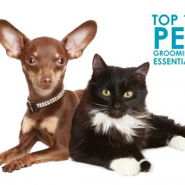top 10 pet grooming essentials