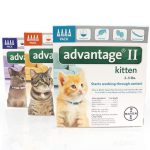 Advantage II flea and tick protection for cats