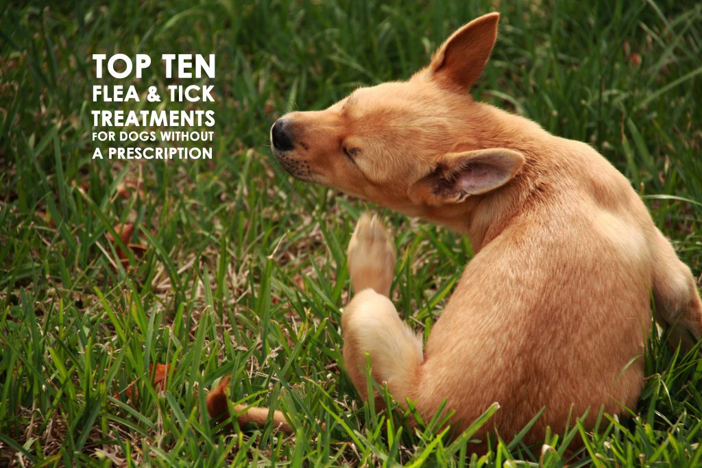 best non prescription flea treatment for dogs