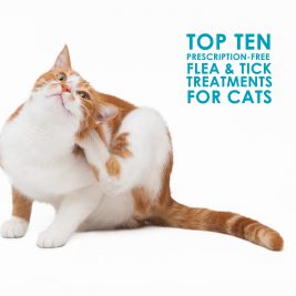 Prescription Free Flea and Tick treatments for cats