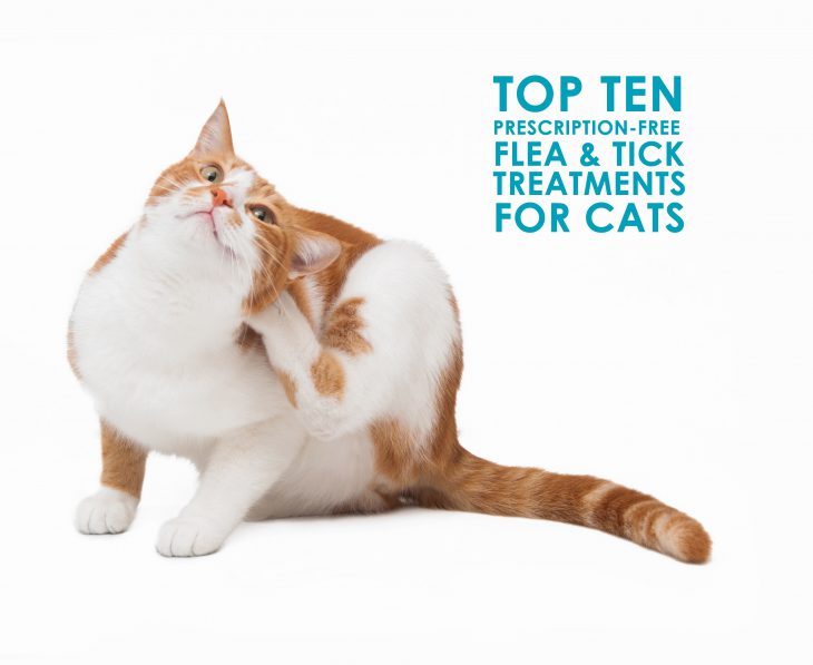 Prescription Free Flea and Tick treatments for cats