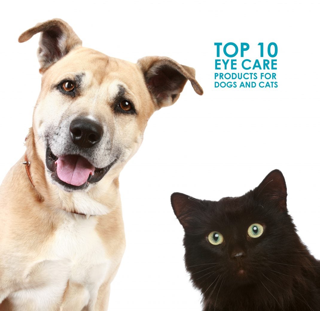 top 10 eye care products dog cats