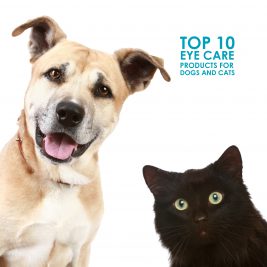 top 10 eye care products dog cats