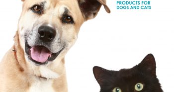 top 10 eye care products dog cats