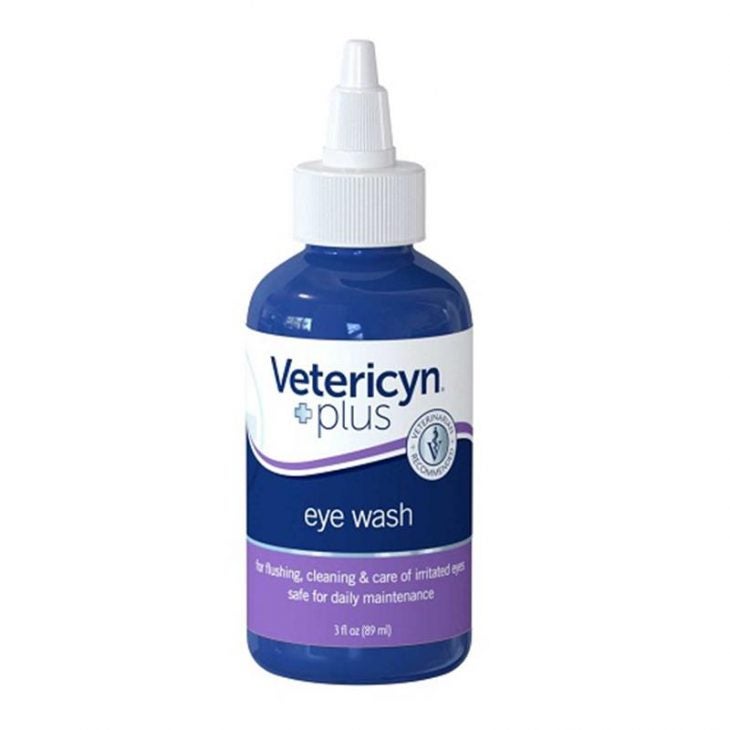 Top 10 Eye Care Products for Dogs and Cats Allivet Pet Care Blog