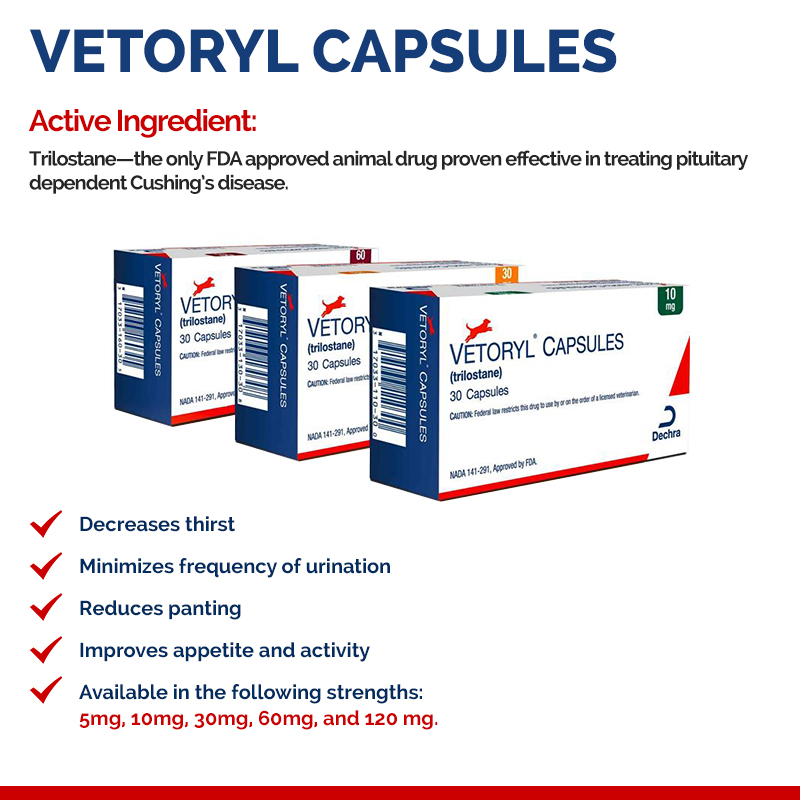 Vetoryl capsules for Cushing's disease in dogs