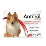 antinol for dogs joint supplement