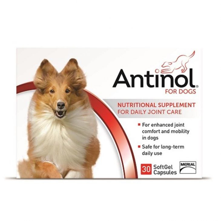 Antinol for Dogs Safe, Daily Joint Supplement Allivet Pet Care Blog