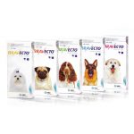 Bravecto Chewable Tablets for Dogs