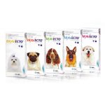 Bravecto Chewable Tablets for Dogs