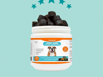 Joint Supplement Soft Chews