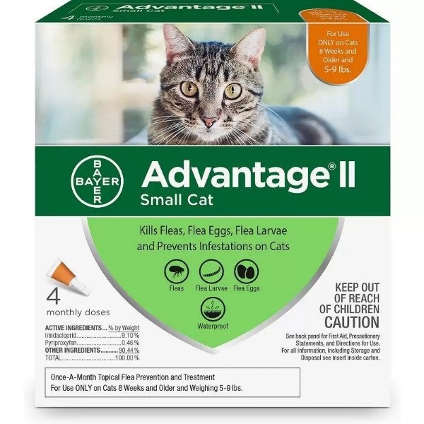 Definitive Guide Flea Control for Cats Allivet Pet Care Blog